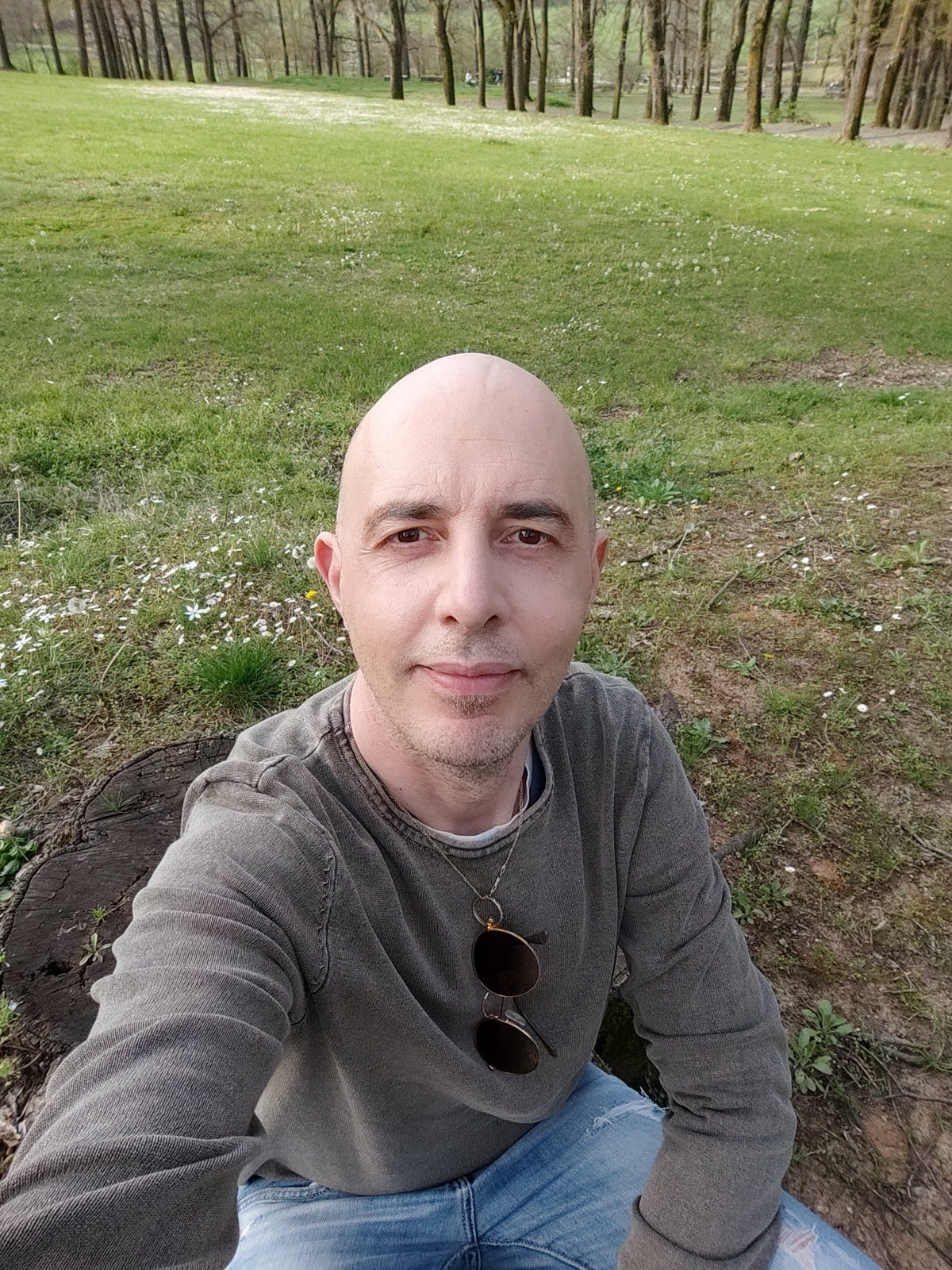 gp, sitting in a clearing at the edge of a wood
